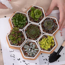 Hamada Hexagon Pots (Large)
