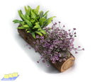 Faux Flowers CH0836A Artificial Plant on Log Yellow/Purple