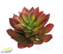 Faux Flowers CH1079 Lotus Red