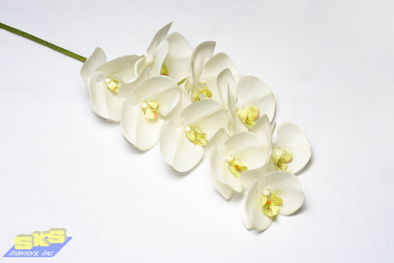 Faux Flowers White Phaleonopsis