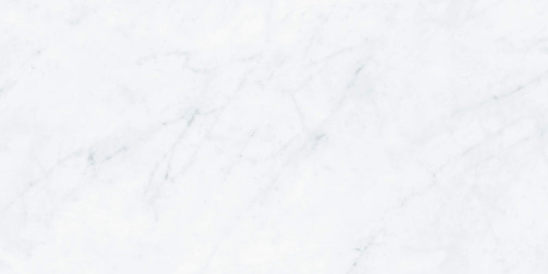 Whitehorse Carrara Series W63014 30x60cm