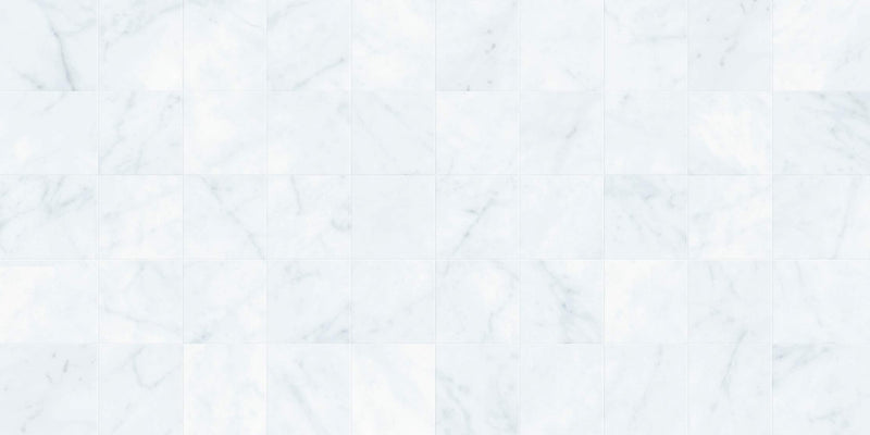 Whitehorse Carrara Series 30x60cm W63014S