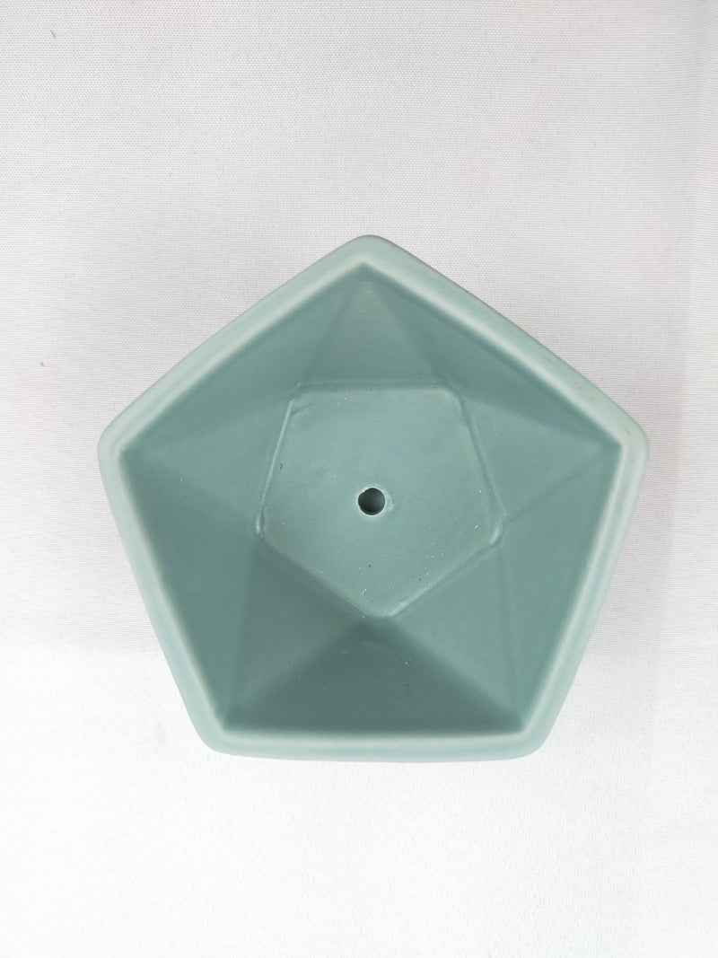 Eira Pot (Mint)