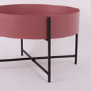 Heather Dish Garden (Dusty Rose)