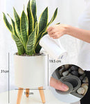 LAZY GARDENER POT with Alarm