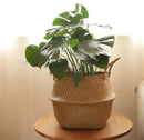 Woven Planters - Natural