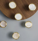 Zahra Shell Knob 25mm Gold