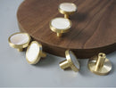 Zahra Shell Knob 25mm Gold