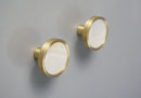 Zahra Shell Knobs (Gold)