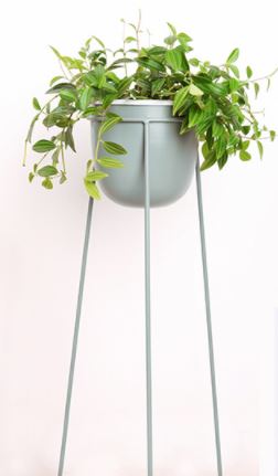 Tiffany Metal Planter (Set of 3)