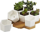 Hamada Hexagon Pots (Large)