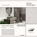 Colorker 29.5x59.5 Aston Harvey Moon Rect Wet