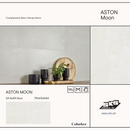 Colorker 29.5x59.5 Aston Moon Rect Wet