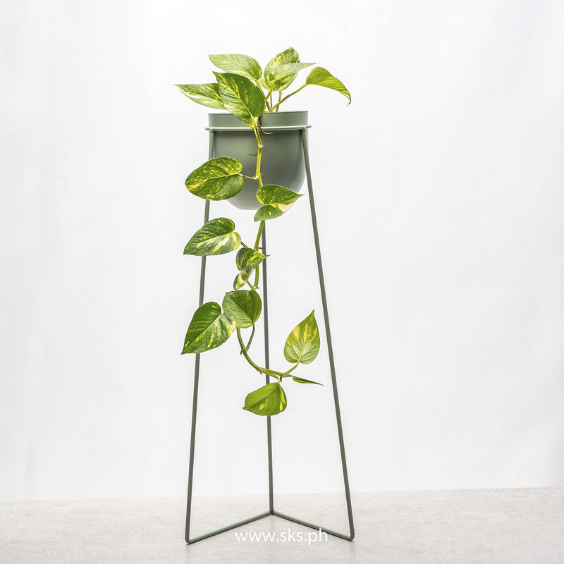 Tiffany Metal Planter (Set of 3)