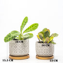 Lennon Pots with Tray