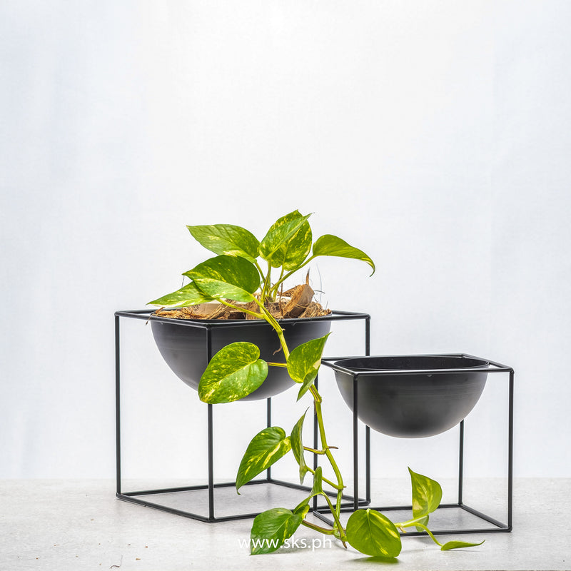 Cubic Metal Planter (Set of 2 - Black)