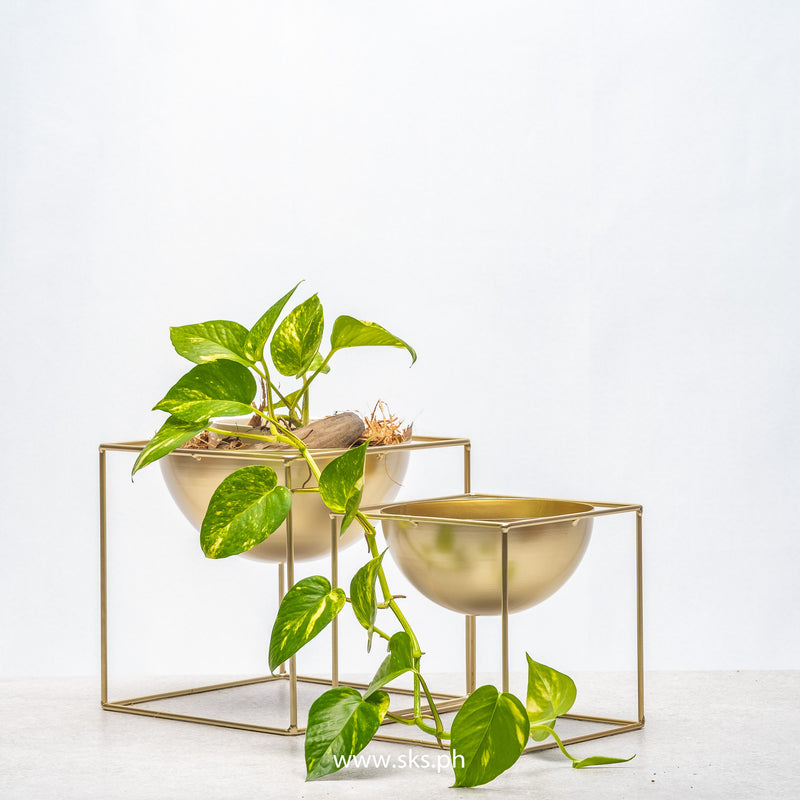Cubic Metal Planters (Set of 2 - Gold )