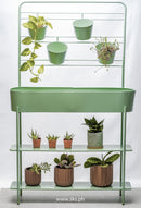 Sabana Garden Shelves Green