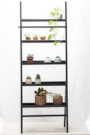 Emersyn Plant Collection Shelves (black 5 levels)