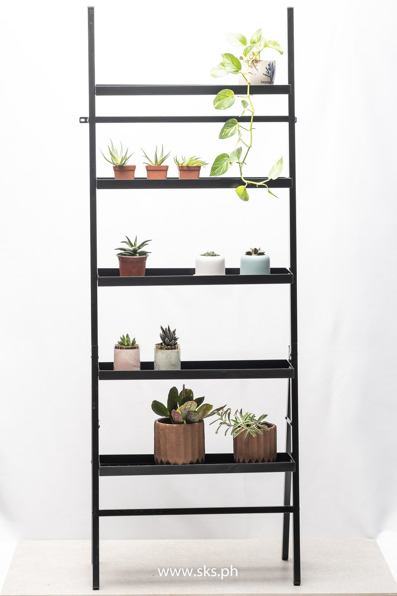 Emersyn Plant Collection Shelves (black 5 levels)