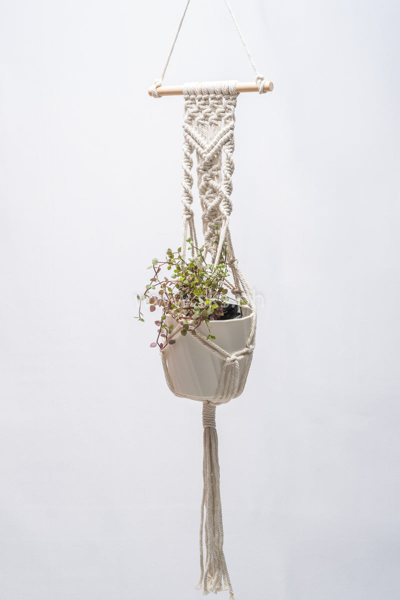 Arlo Macrame Hanging with Pot