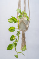 Colbie Macrame Hanging with Pot B