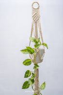 Colbie Macrame Hanging with Pot A