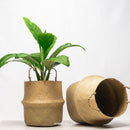 Woven Planters - Natural