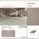 Colorker Evidence Taupe 30x60cm