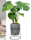 LAZY GARDENER POT with Water Level Window A607 Mint