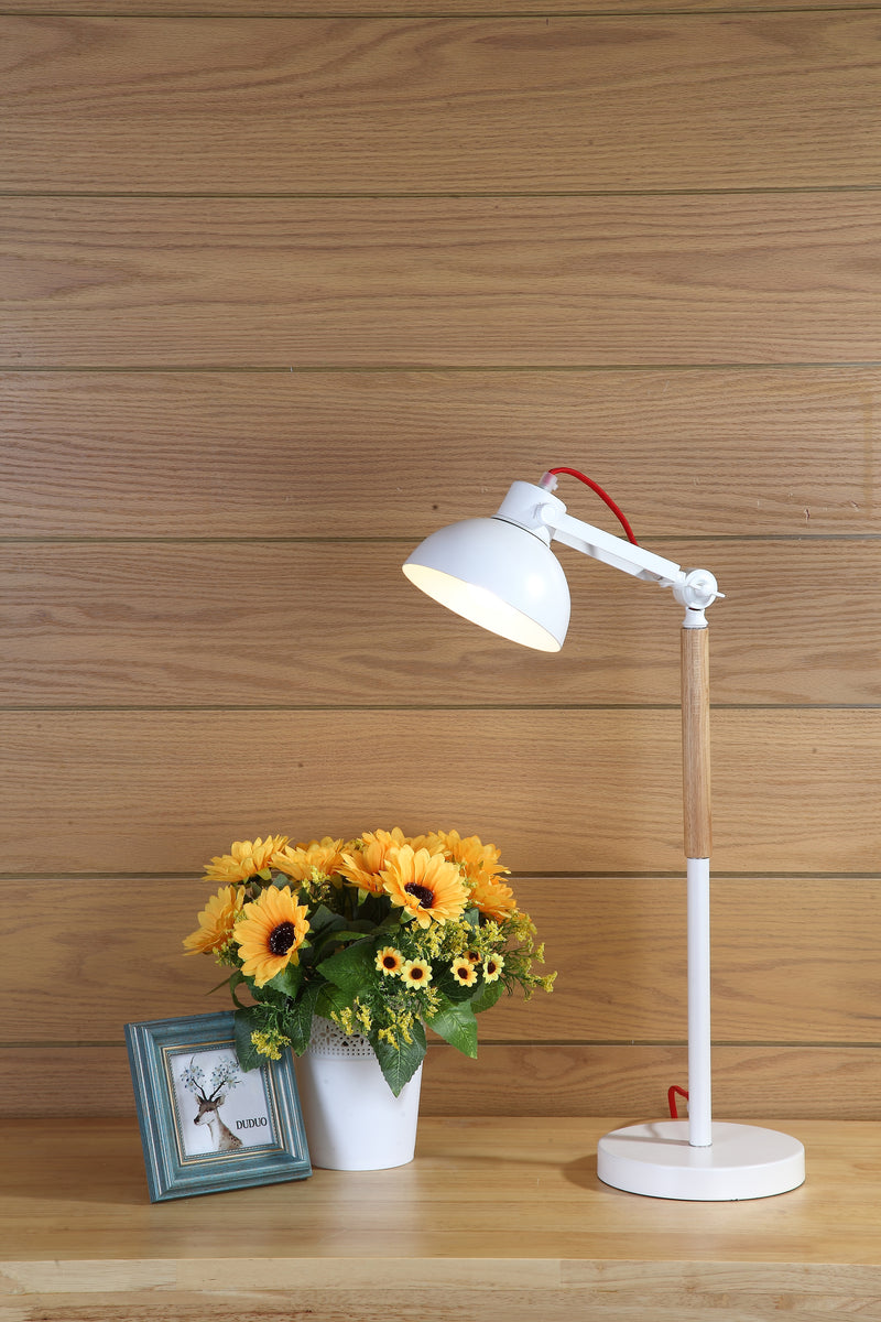 TAKARA Desk Lamp