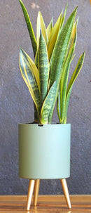 Lazy Gardener Pot -Luxe edition Z501 Mint Green