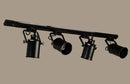 Oriana Track Lights