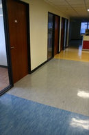 AVQT (PLAIN) 1.3MM 12X12 Wedge wood blue