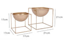 Cubic Metal Planters (Set of 2 - Gold )